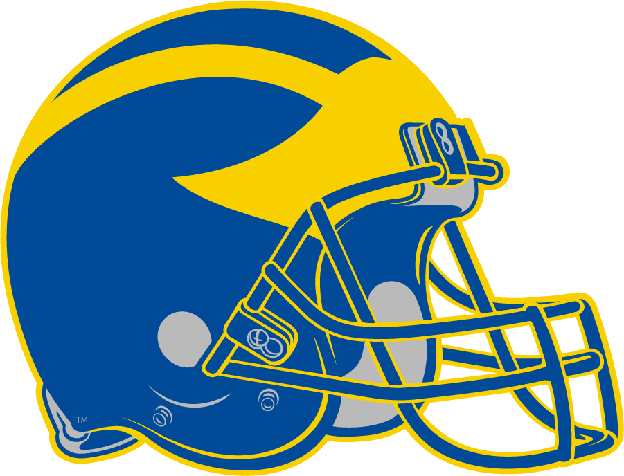 Delaware Blue Hens 2009-Pres Helmet Logo t shirts iron on transfers